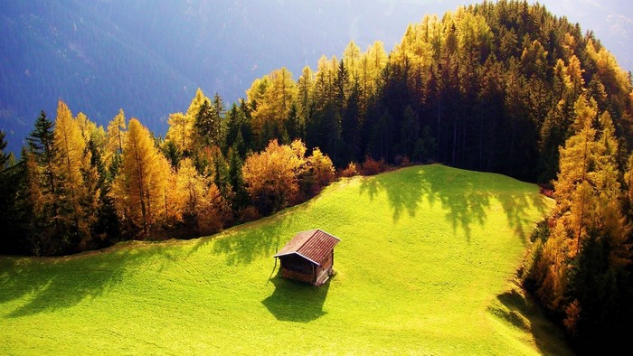 Autumn forest and meadow with a small cabin