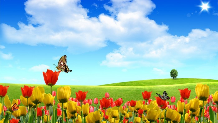 Field of Tulips with Butterflies and a Distant Tree