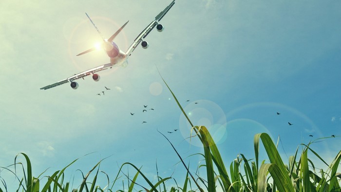 Airplane flying over fields with sun and birds
