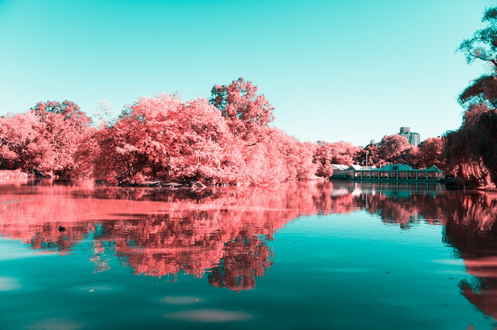Central Park lake with building and trees, New York City 4K