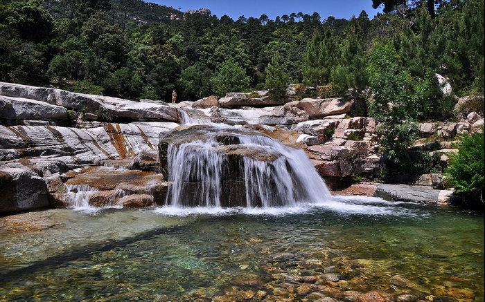 Waterfall cascading over rocks in a forest