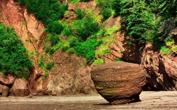 Boulder on a beach with red cliffs and green foliage
