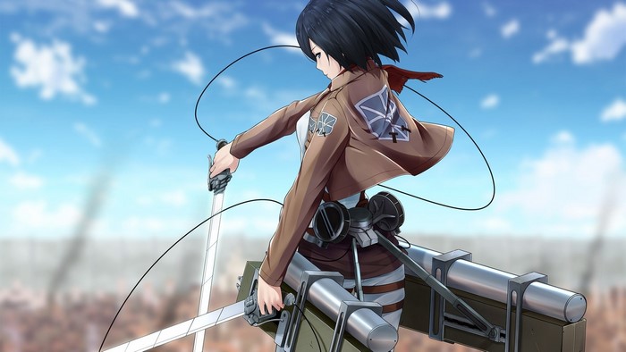 Mikasa Ackerman from Attack on Titan