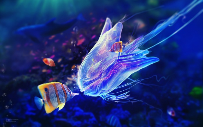 Jellyfish and fish underwater