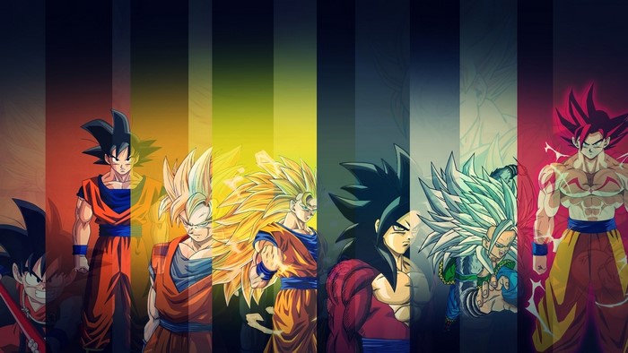 Goku from Dragon Ball Z transformations