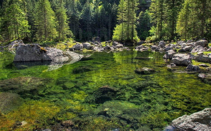 Clear green lake with rocks and forest