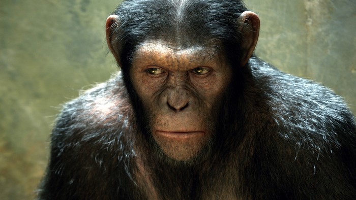 Caesar from Rise of the Planet of the Apes