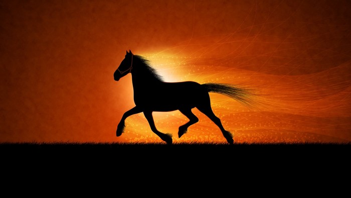 Silhouette of a running horse against an orange sunset