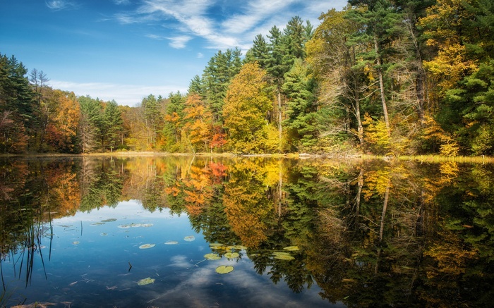 Autumn forest reflected in a calm lake