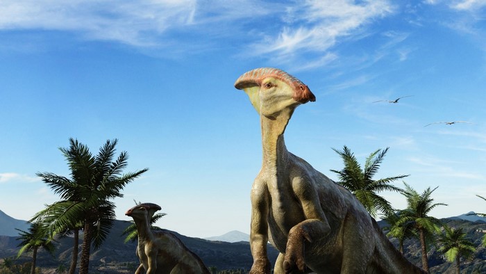 Parasaurolophus dinosaurs in a prehistoric landscape