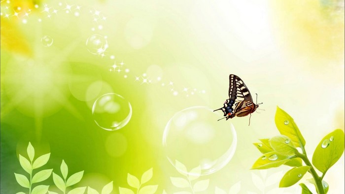 Butterfly and leaves with bubbles