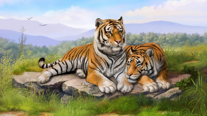 Two tigers resting on a rock