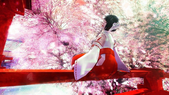 Japanese girl in traditional attire under cherry blossoms