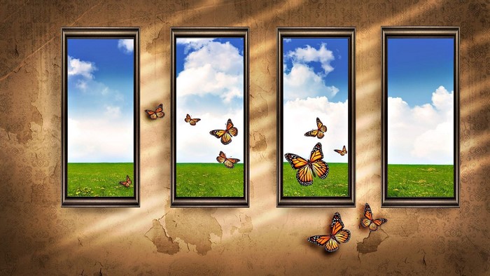 Four windows showing a grassy field and sky with butterflies