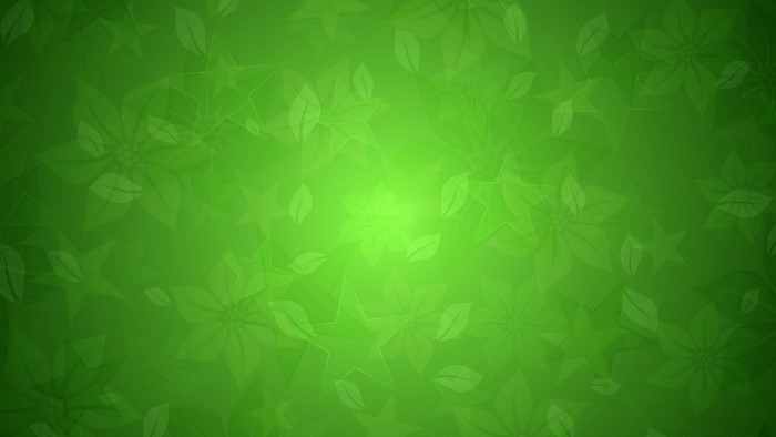 Green Flower and Star Texture