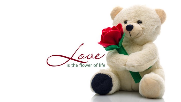 Cute Teddy Bear Holding a Red Rose