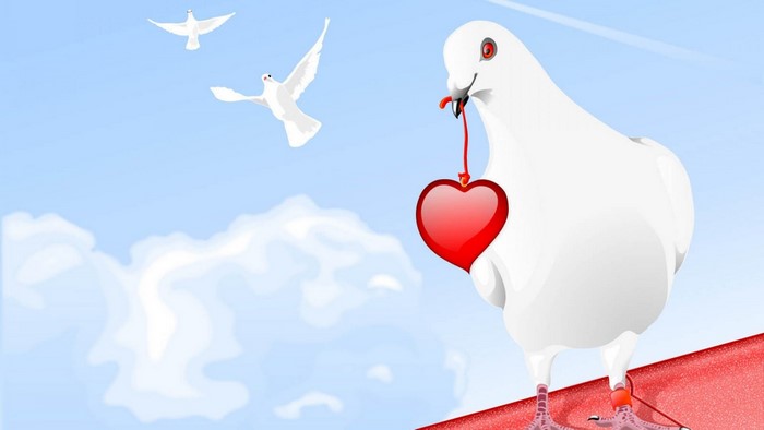 White pigeon carrying a red heart