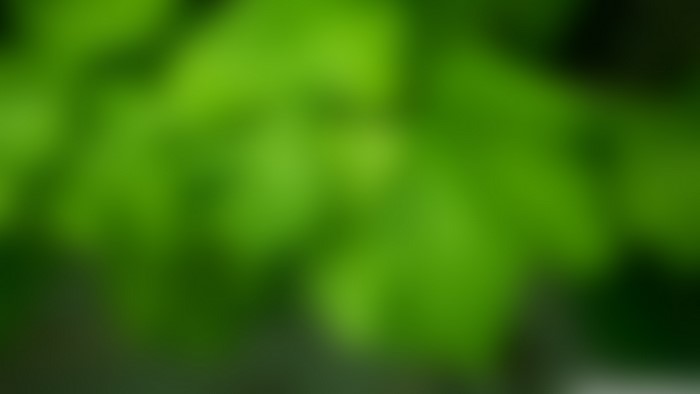 Green blur background