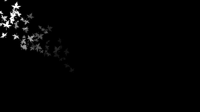 White leaves falling on black background
