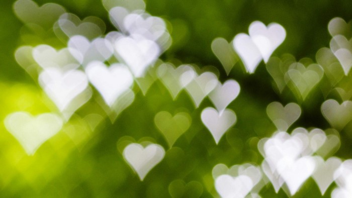 Heart Bokeh Lights on Green Background