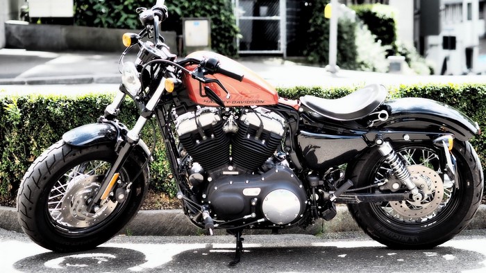 Harley-Davidson Iron 883 motorcycle