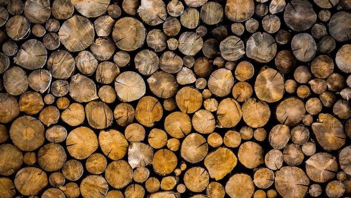 Pile of cut wood logs
