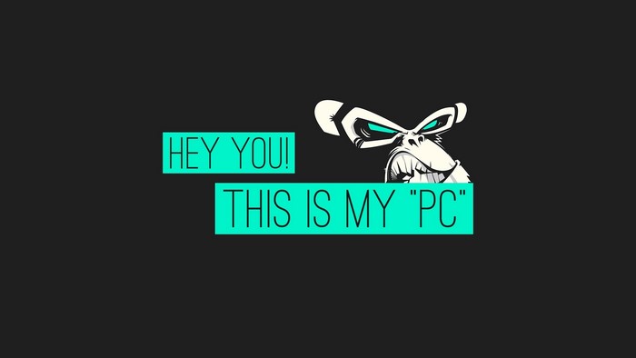 Monkey "This Is My PC" Warning
