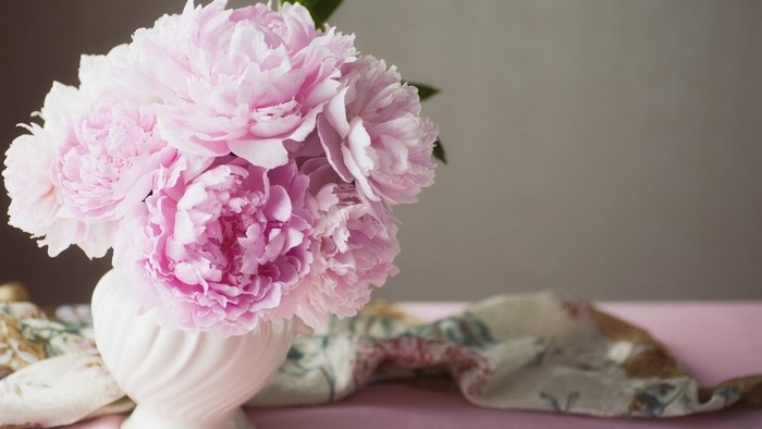 Pink Peonies in a White Vase