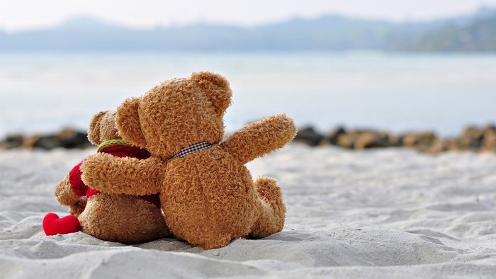 Two teddy bears hugging on a beach