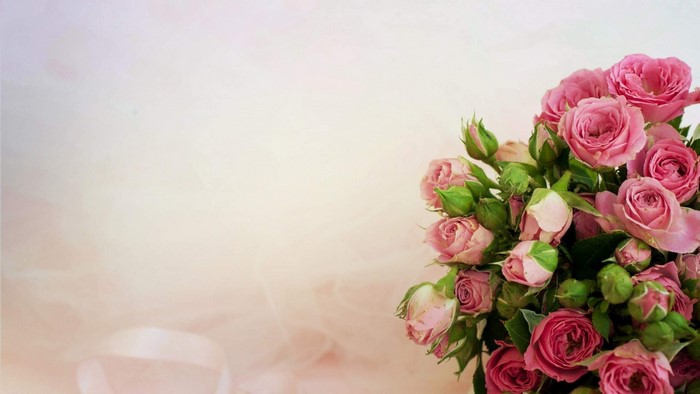 Bunch of pink roses