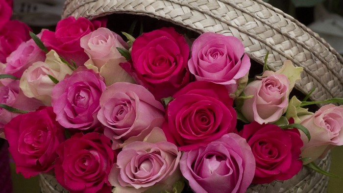 Pink and Red Roses in a Basket