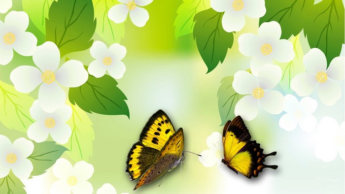 Jasmine Flowers and Butterflies