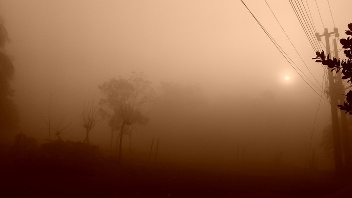 Foggy morning with electricity pole and sun