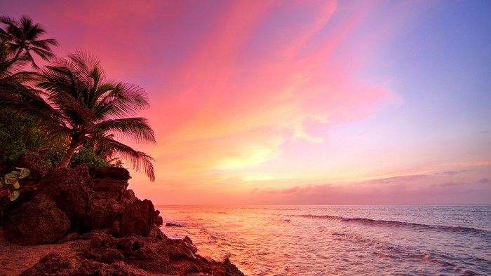 Sunset over the ocean with palm trees in Puerto Rico