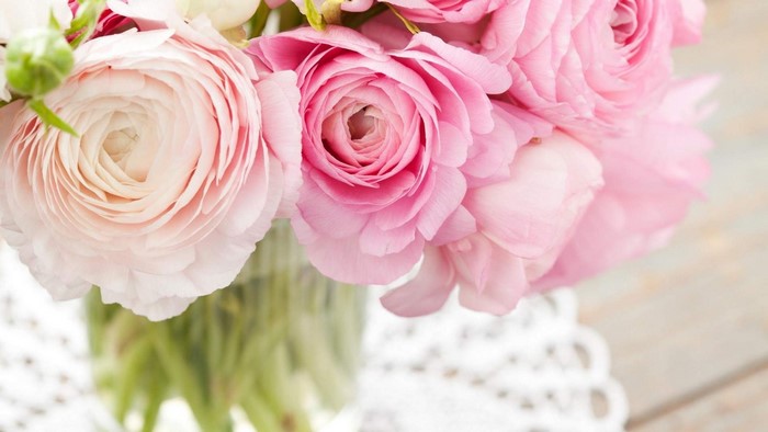 Pink Ranunculus Flowers in a Vase