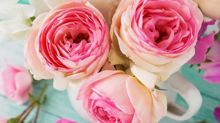 Pink Roses in a White Vase