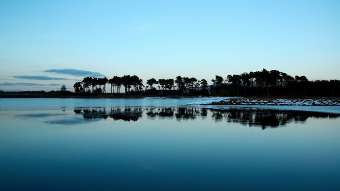 Forest reflection on a calm lake at dusk