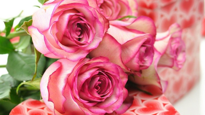 Pink Roses on a Heart-Patterned Gift Box