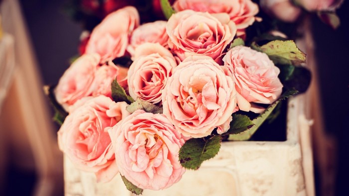 Pink Roses in a Decorative Container