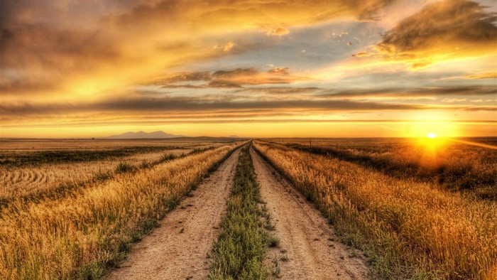 Country Road Through Field at Sunset