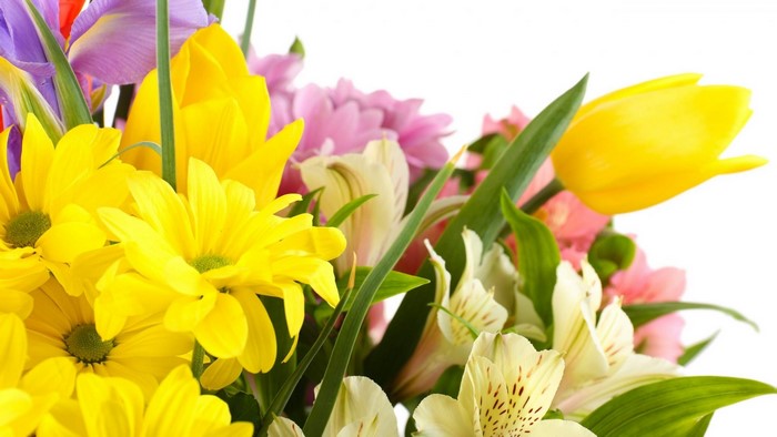Mum Flowers and Tulips