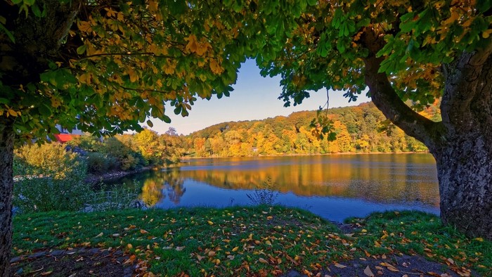Autumn lake landscape with trees in Germany