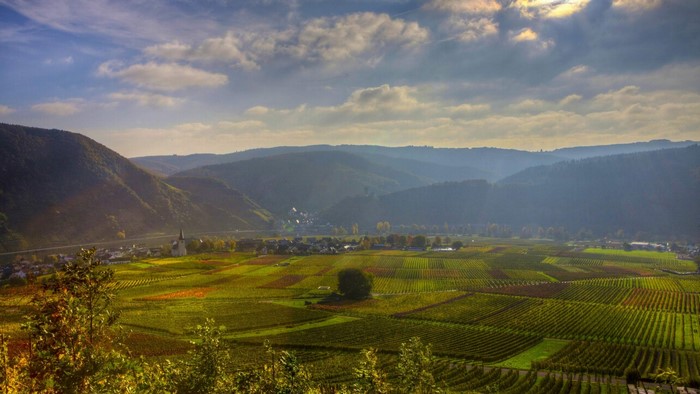 Vineyards and village in Ellenz-Poltersdorf, Germany