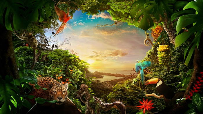 Brazil, 4K, Birds, Nature, Forest, Animals