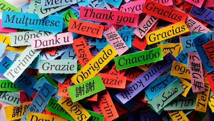 Thank You in Many Languages