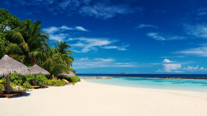 Tropical beach with palm trees and thatched umbrellas
