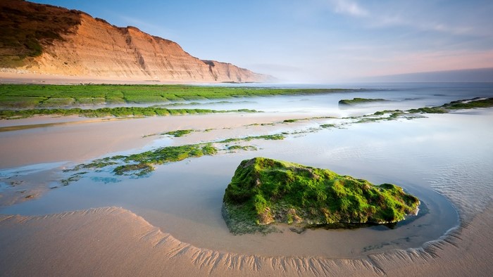 Beach with Cliffs and Green Vegetation