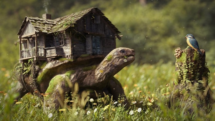 Giant turtle carrying a house in a grassy field
