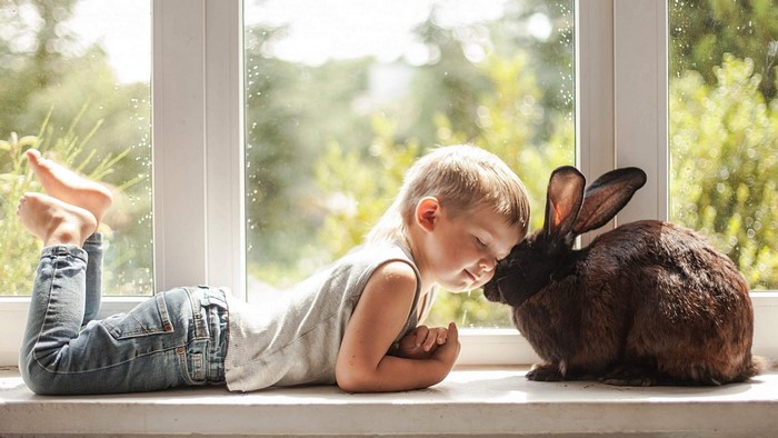 Boy and Rabbit on a Windowsill
