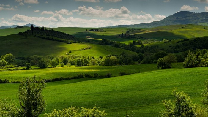 Tuscan Landscape in Italy